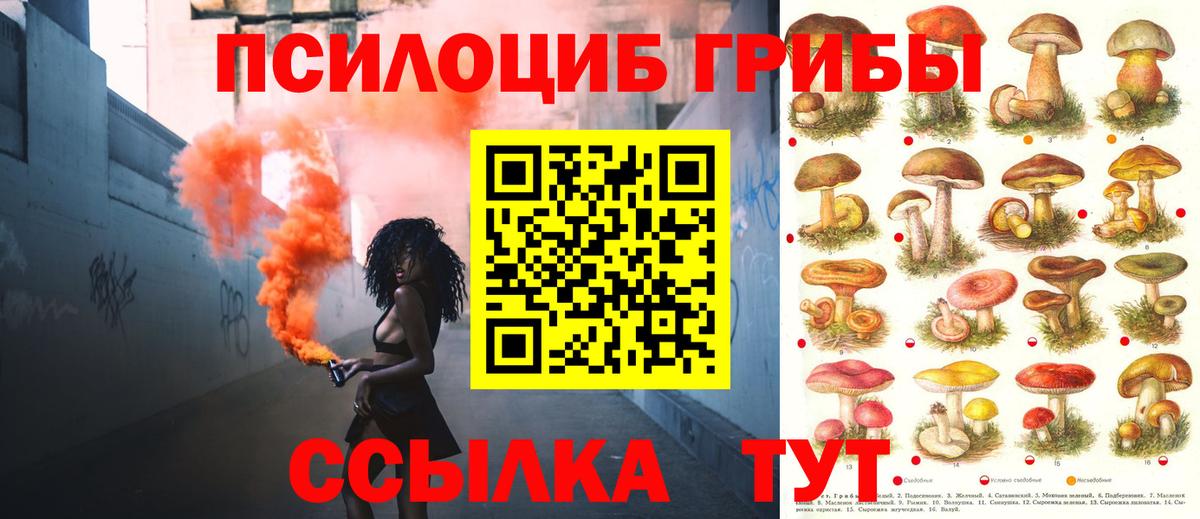 Галлюциногенные грибы Cubensis Тихвин