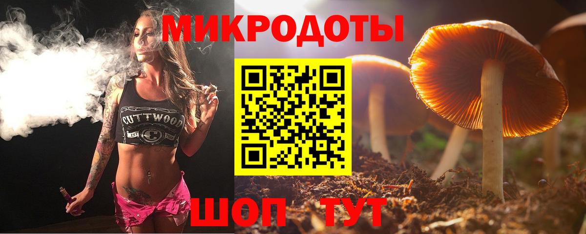 Тихвин  Псилоцибиновые грибы MAGIC MUSHROOMS  Вход с VPN 