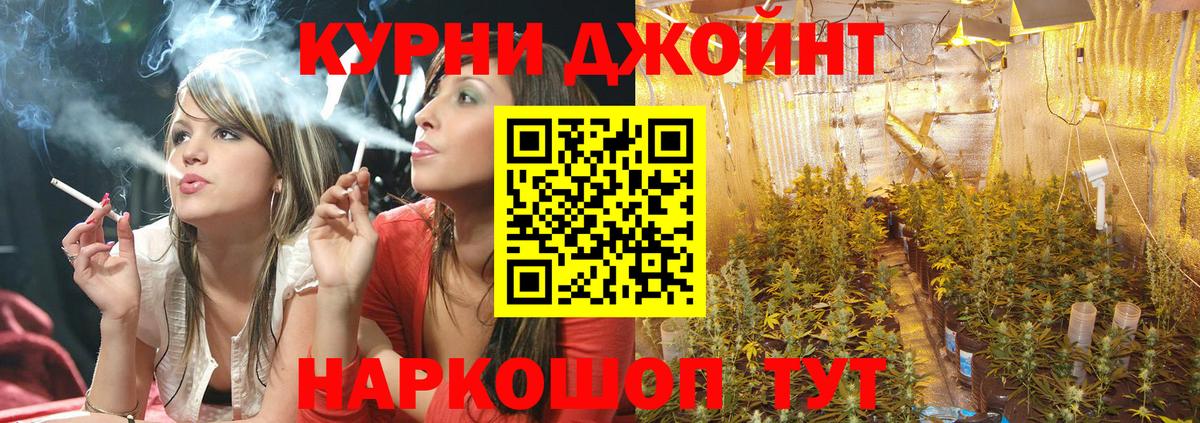 Тихвин  Бошки марихуана Ganja  Вход с VPN  Шишки марихуана Ganja  Бошки Шишки VHQ 